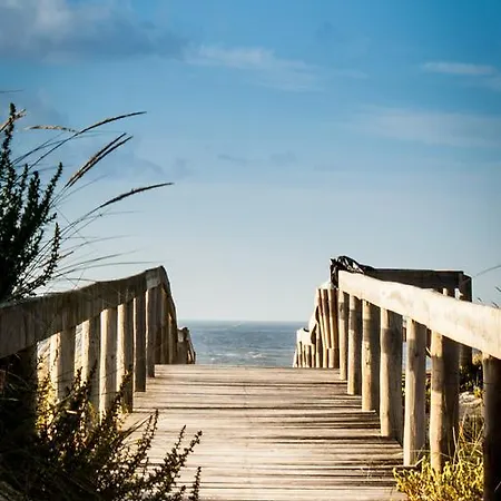Praia-mar *